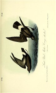 n158_w1150