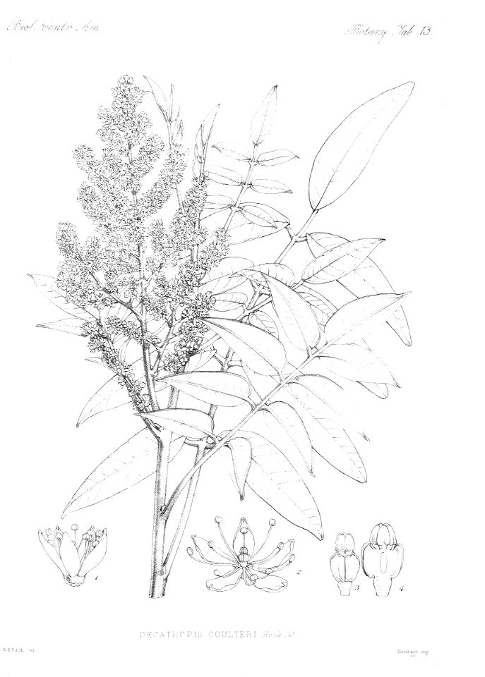 n19_w1150