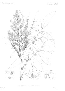 n19_w1150