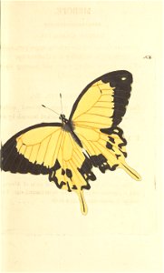 n103_w1150