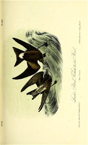 n146_w1150