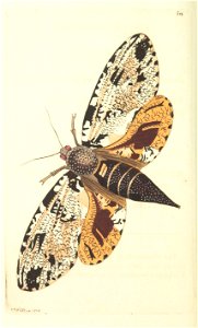 n178_w1150