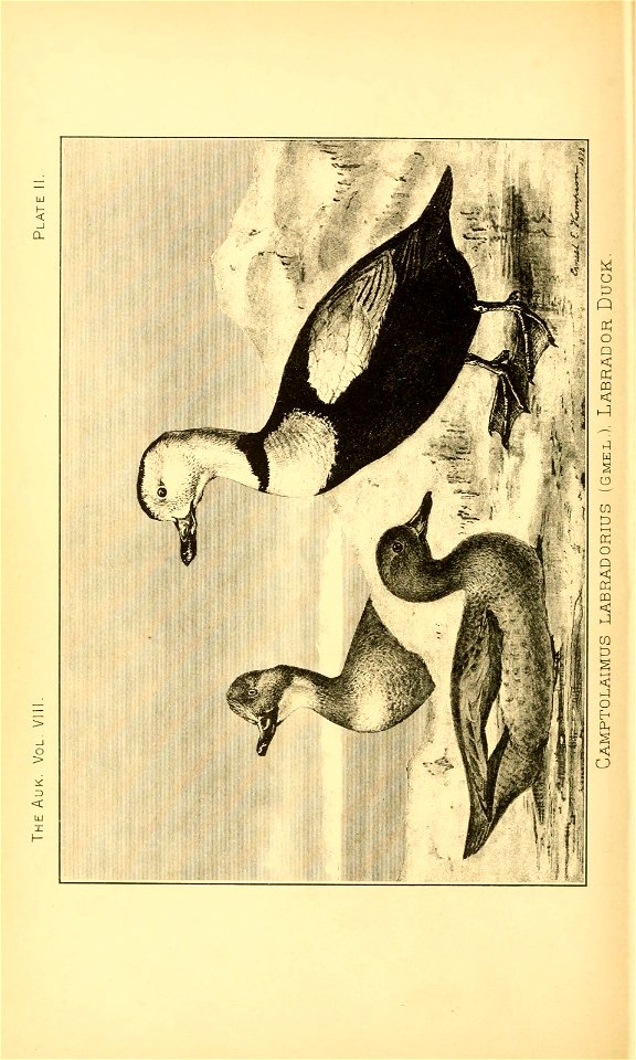 n155_w1150
