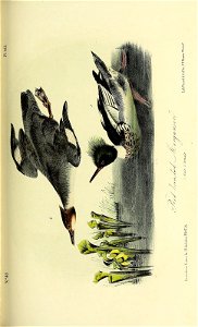 n148_w1150