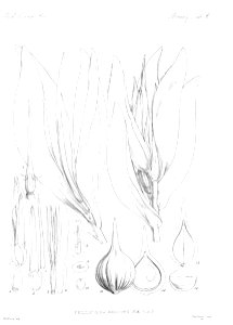 n14_w1150
