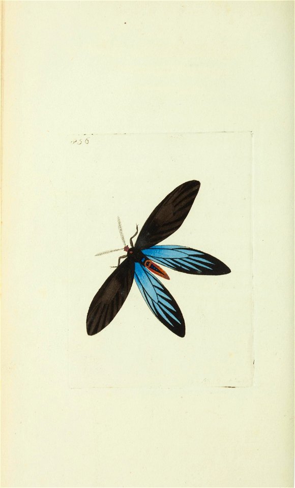 n173_w1150