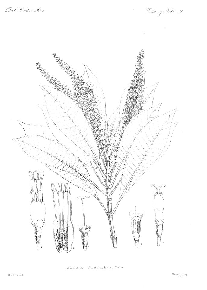 n43_w1150
