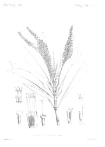 n43_w1150