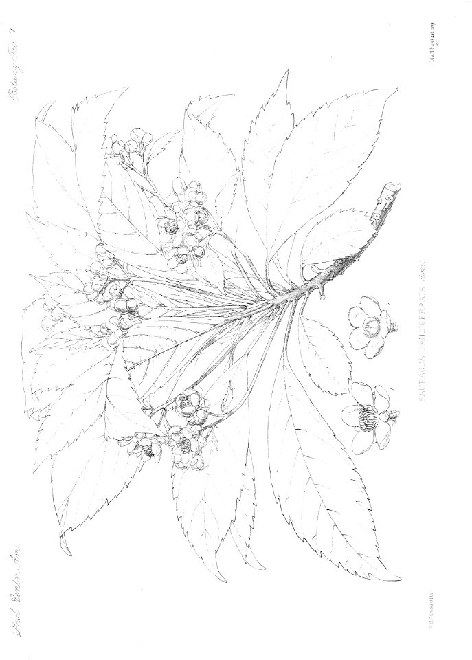 n13_w1150