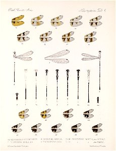 n461_w1150