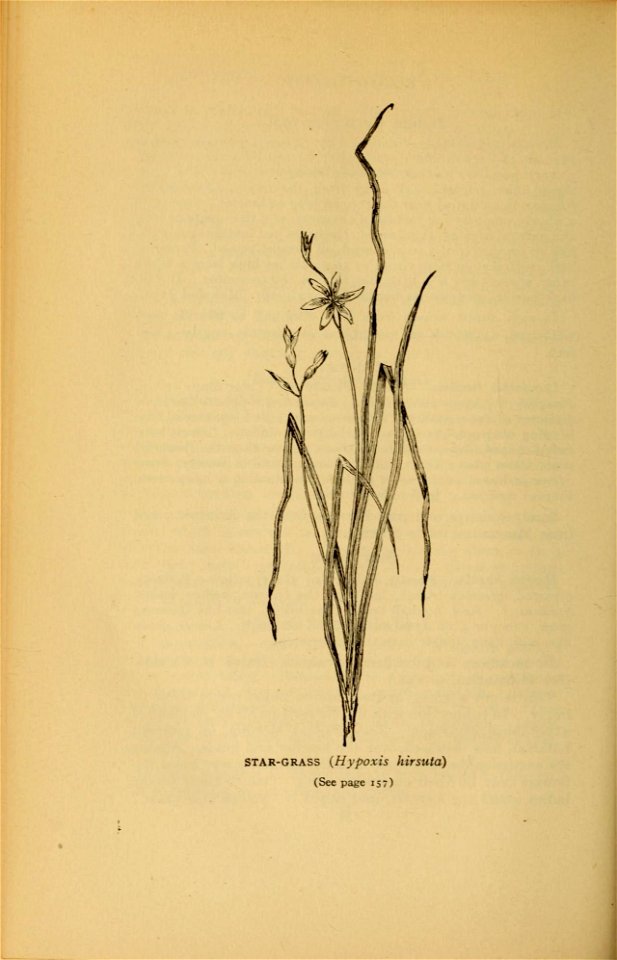 n173_w1150