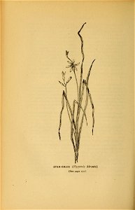 n173_w1150