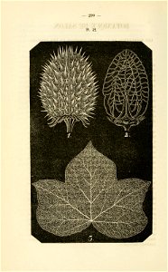 n353_w1150