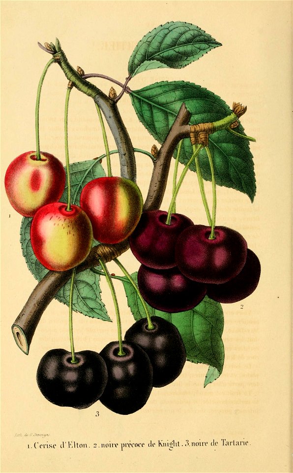 n99_w1150