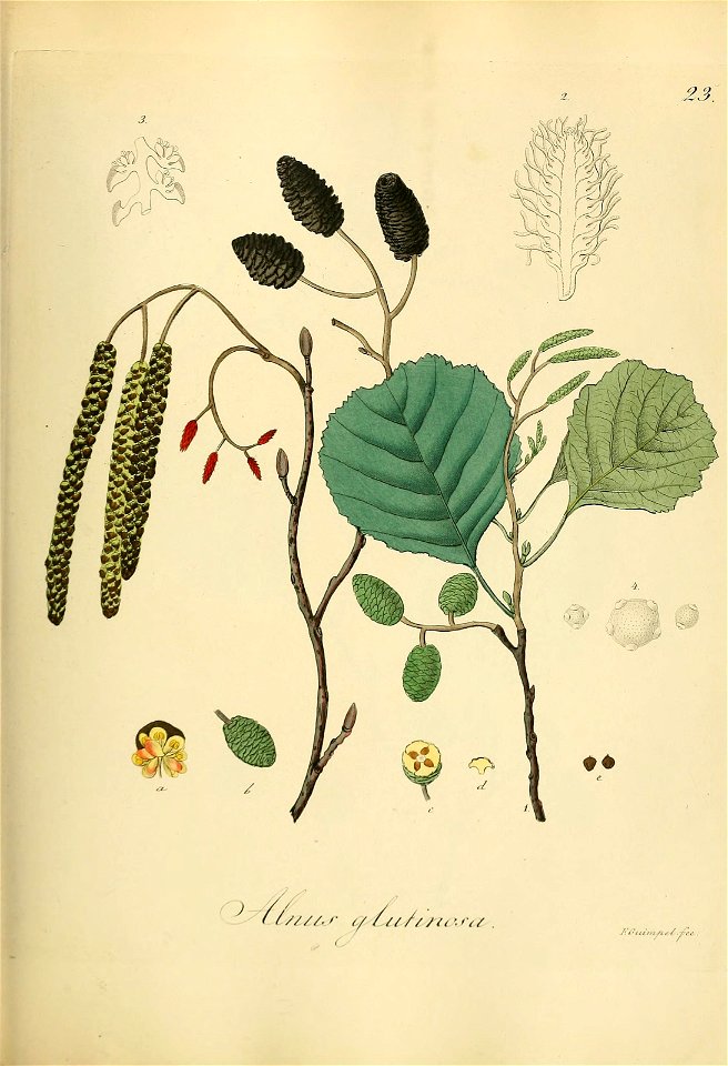 n678_w1150
