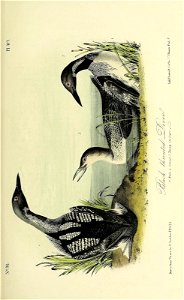 n258_w1150