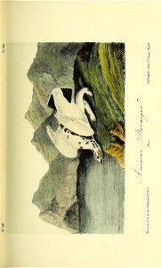 n164_w1150