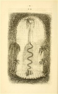 n113_w1150