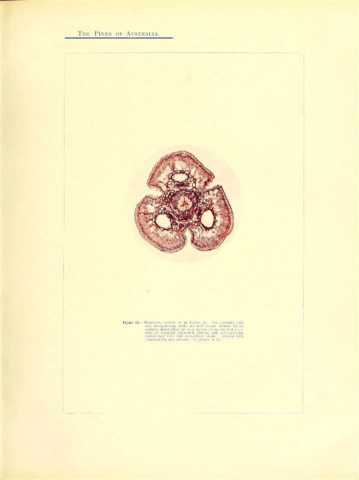 n166_w1150