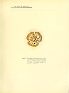 n148_w1150