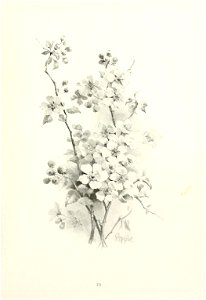 n38_w1150