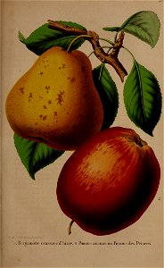 n156_w1150