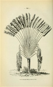 n441_w1150