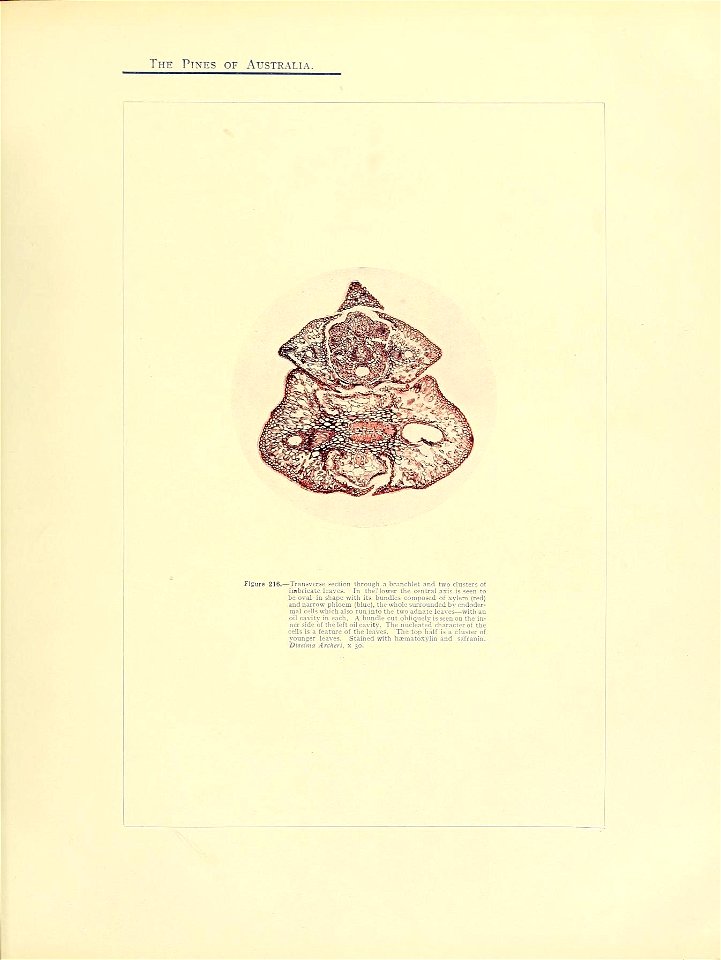 n360_w1150