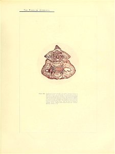 n360_w1150