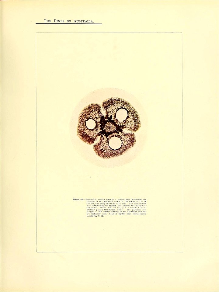 n122_w1150