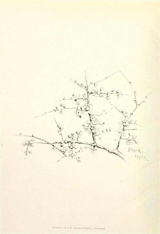 n125_w1150