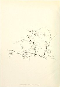 n125_w1150
