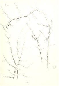 n106_w1150