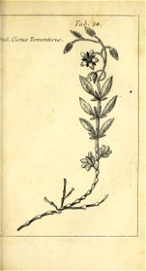 n502_w1150