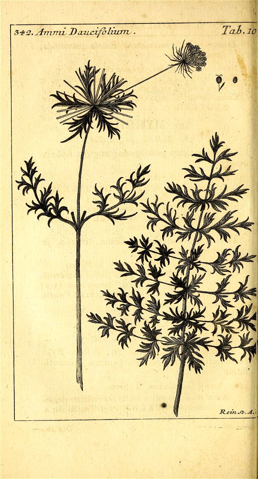 n303_w1150