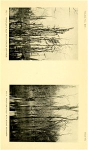 n258_w1150
