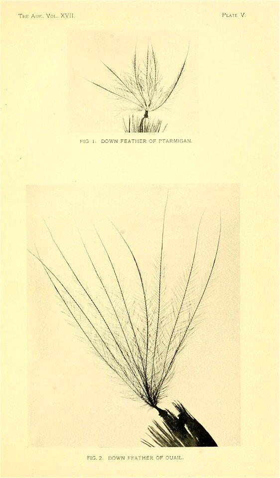 n192_w1150
