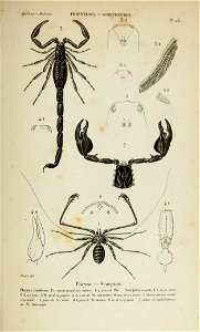 n118_w1150