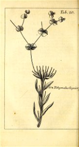 n451_w1150