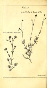n429_w1150