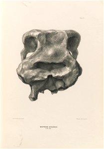 n102_w1150