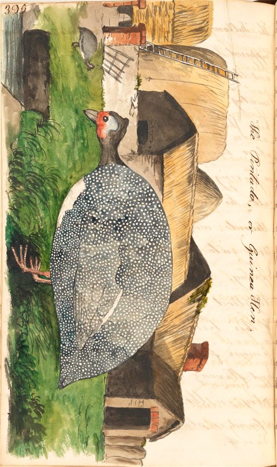 n421_w1150