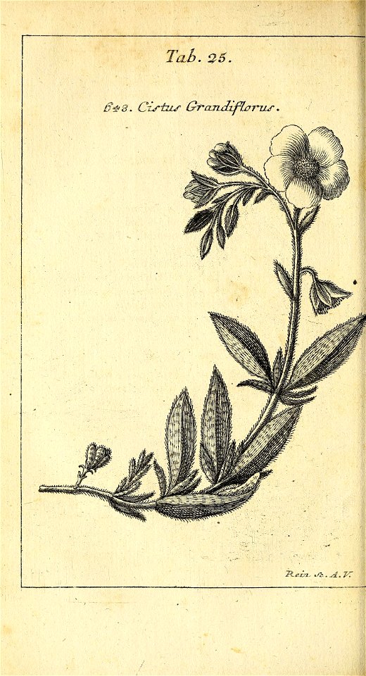 n505_w1150