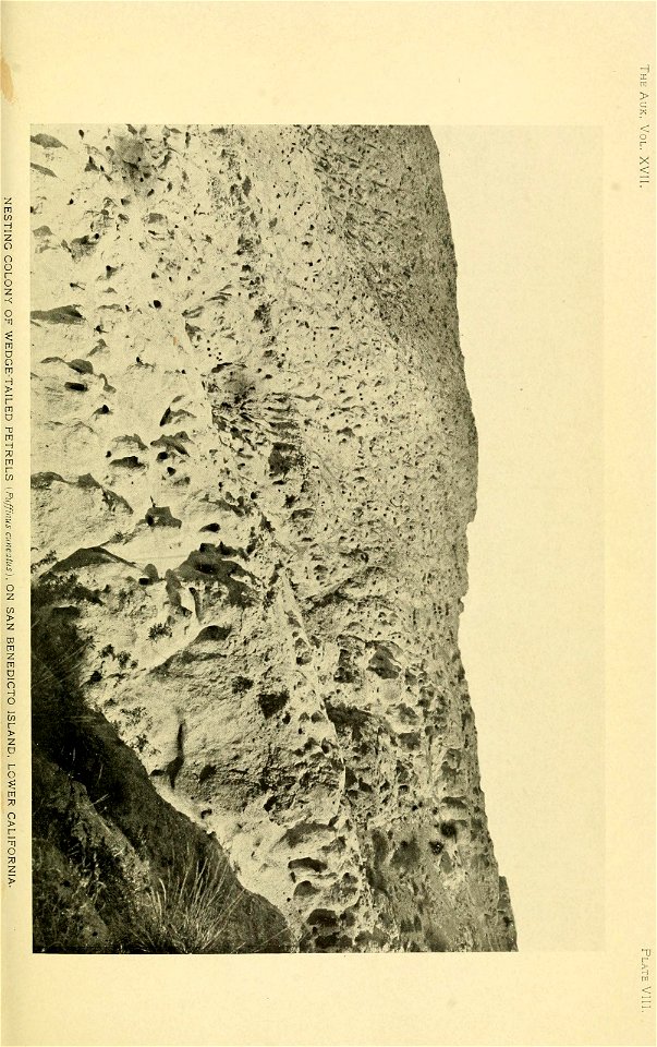 n296_w1150