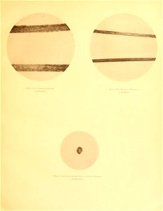 n30_w1150