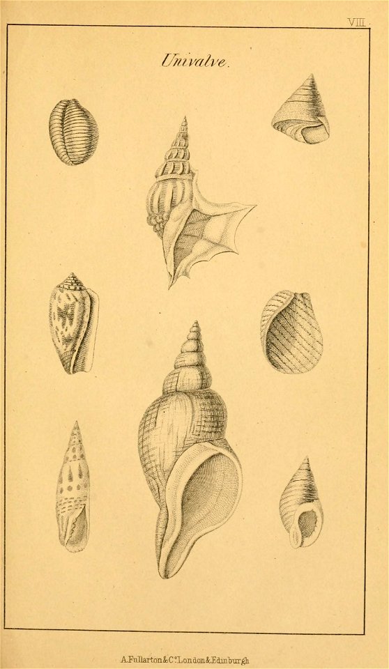 n256_w1150