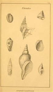n256_w1150
