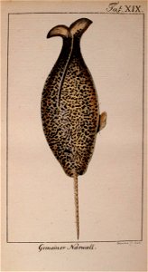 n768_w1150