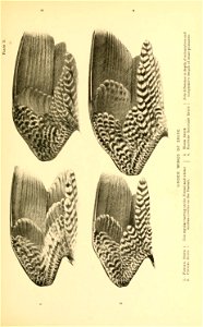 n122_w1150
