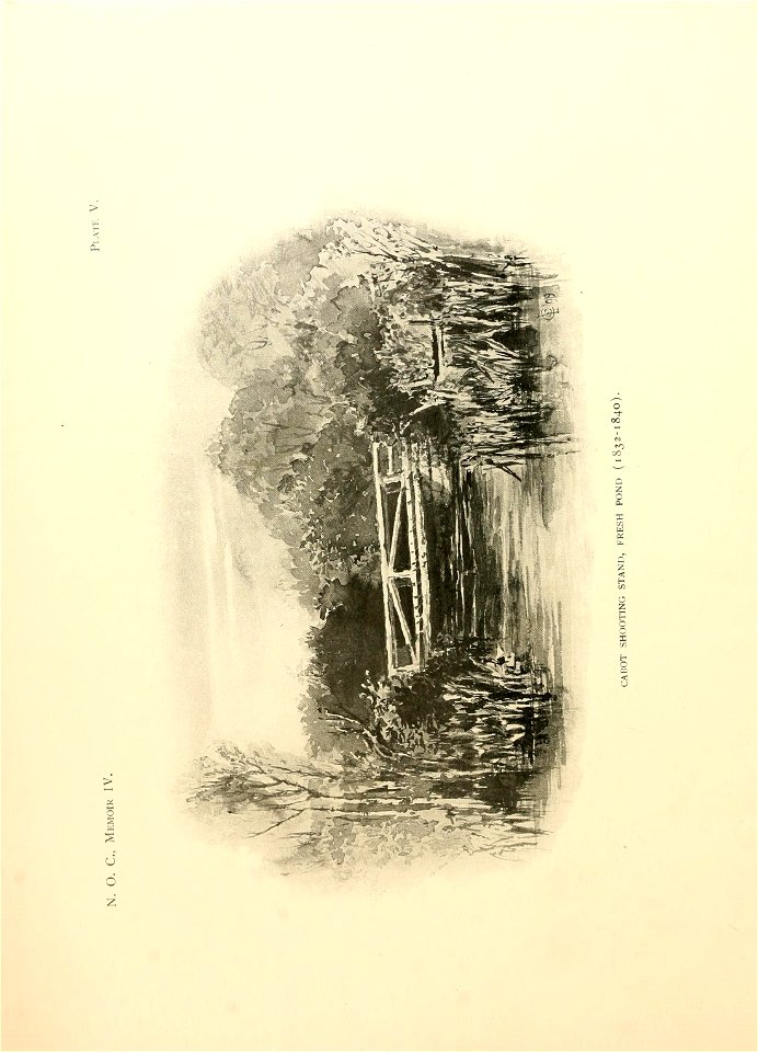 n99_w1150